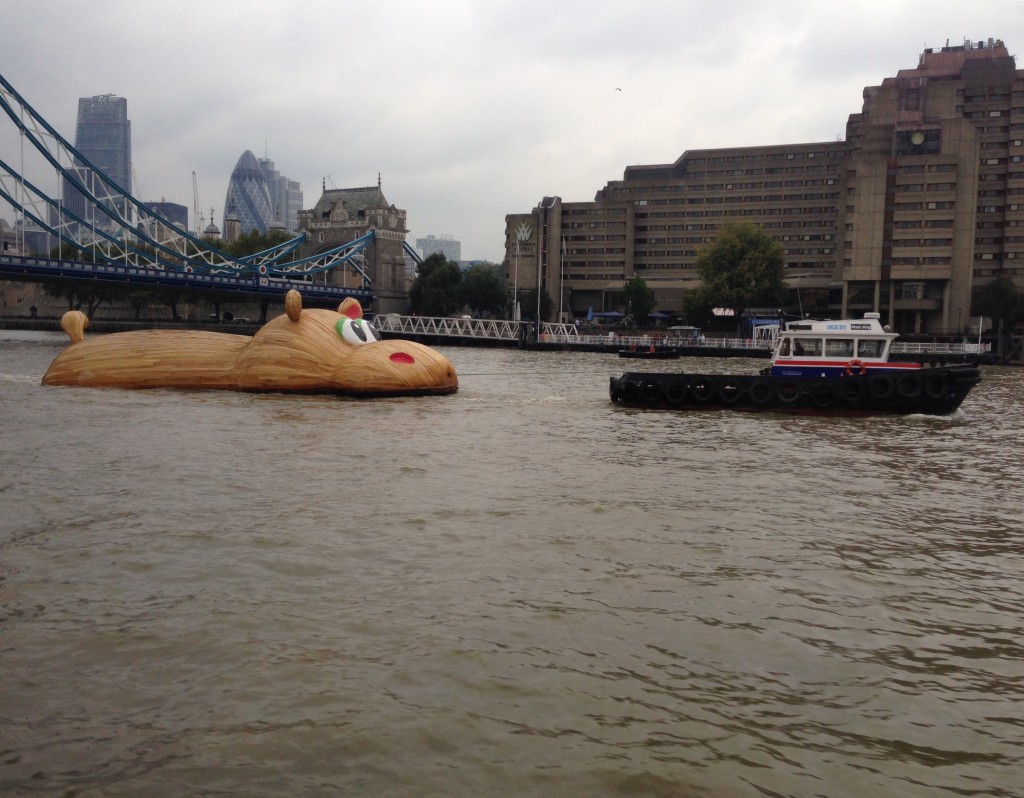 Hippopotamus Spotted on the River Thames in London