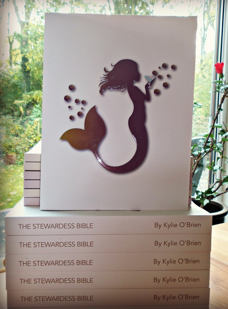The Stewardess Bible Launches Revised Print Edition