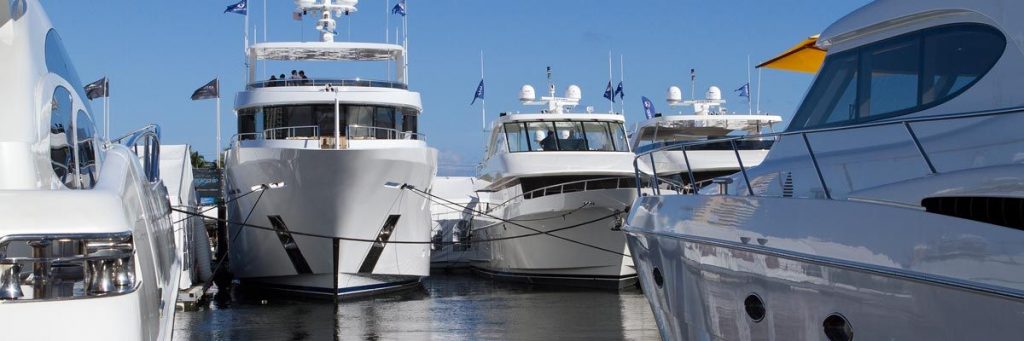 What Does the Future Hold for FLIBS?
