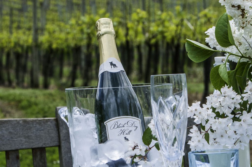 Bumper Year for Sparkling Wine of Choice On Board Discerning Superyachts