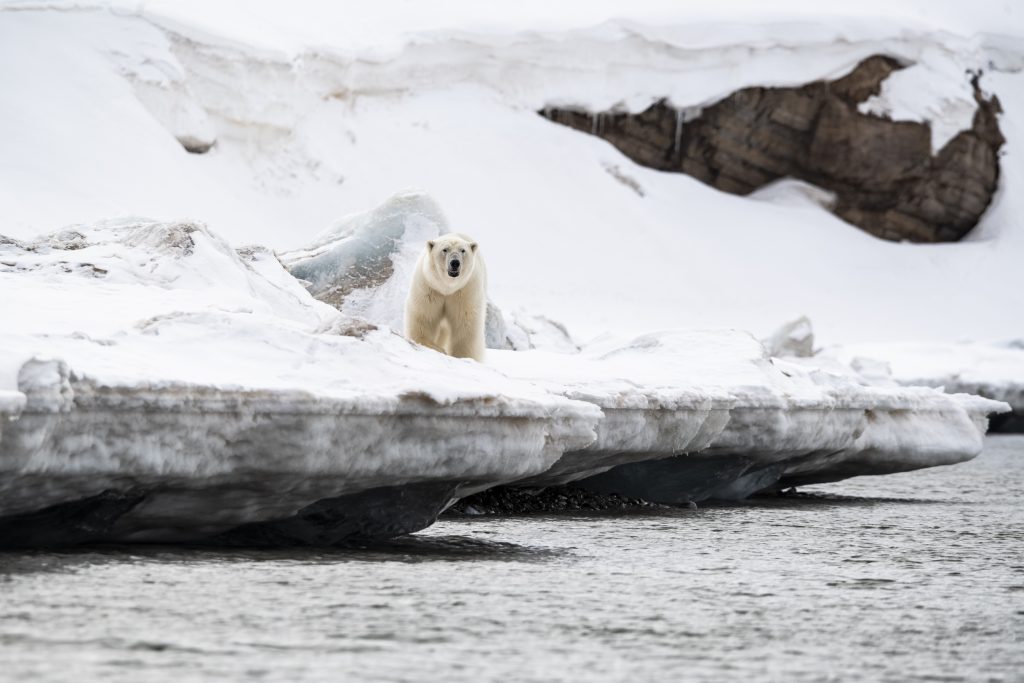 Multi-Generational Family Arctic Adventures