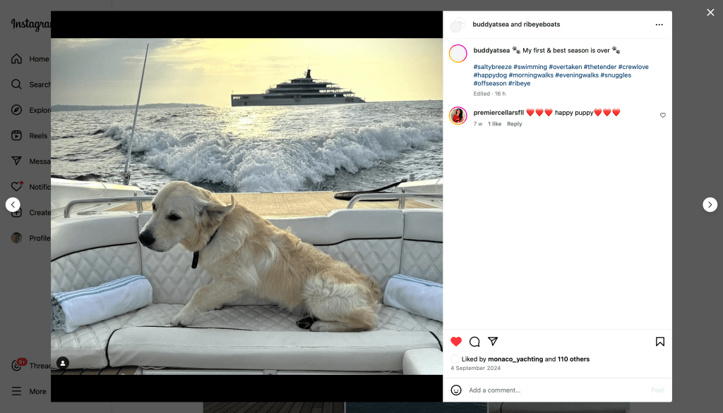 Dog’s Life Slumming it on a Superyacht