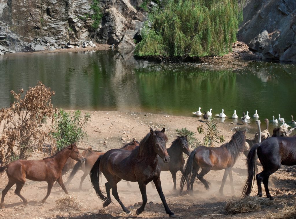 Ogliastra – Sardinia’s Hidden Gem