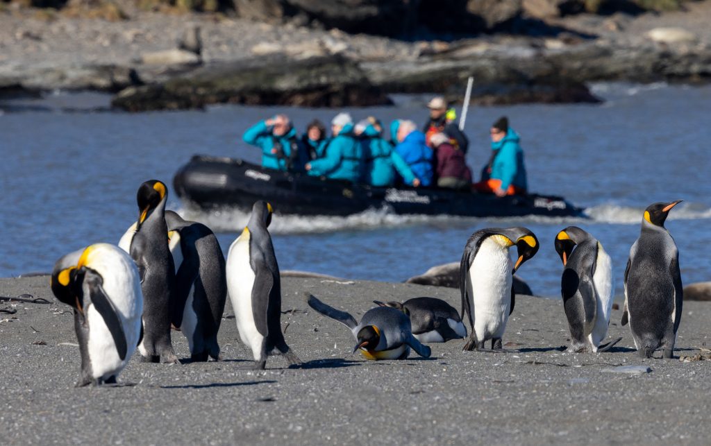 Solo Supplement Dropped on Epic Antarctica Expedition Cruise