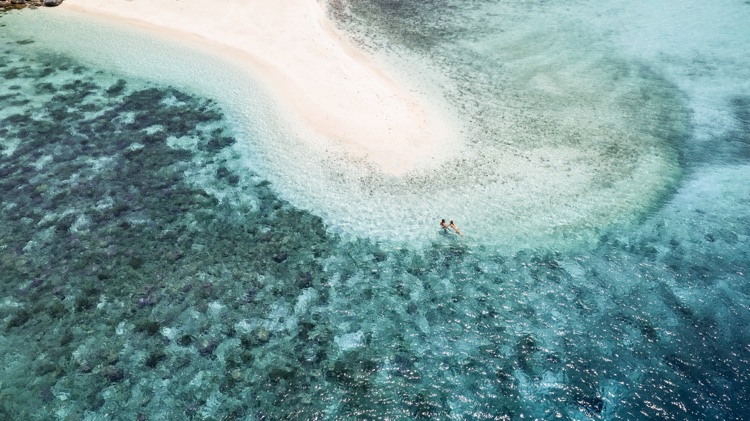 World Oceans Day 2026